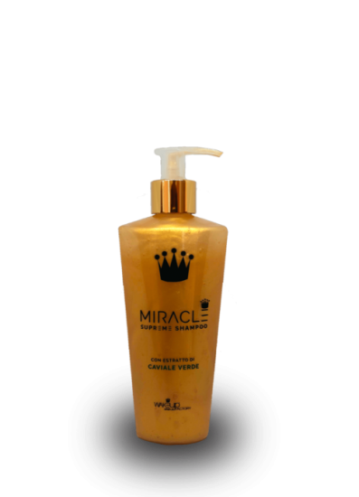 Wakeup Shampoo Miracle 250ml - zum Schließen ins Bild klicken