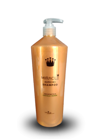 Wakeup Shampoo Miracle 1000ml - zum Schließen ins Bild klicken